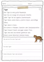 Vorschau - Arbeitsblätter - Sachtext Tiger - Seite 1