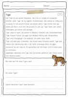 Vorschau - Arbeitsblätter - Sachtext Tiger - Seite 3