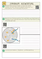 Vorschau - Arbeitsblätter - Experiment Zinkbaum inkl. Auswertung (Zink-Iodid-Elektrolyse) - Seite 1