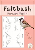 Vorschau - Mal- und Bastelvorlagen - Minifaltbuch Heimische Vögel 1 – Bastelvorlage Sachunterricht - Deckblatt