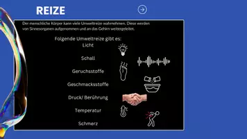 Vorschau - Stundenentwürfe - Die 5 Sinne - Wie funktionieren sie? - Seite 2