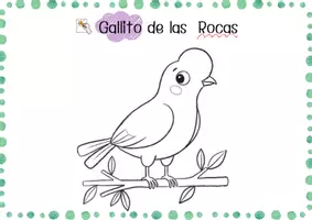 Vista previa - Manualidades / Dibujos para colorear - Libro para Colorear - Flora y Fauna Perú - página 2