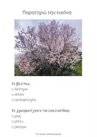 Προεπισκόπηση - Φύλλα εργασίας - Η αμυγδαλιά- φύλλο εργασιας για την άνοιξη (ειδική αγωγή) - Σελίδα 1