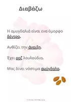 Προεπισκόπηση - Φύλλα εργασίας - Η αμυγδαλιά- φύλλο εργασιας για την άνοιξη (ειδική αγωγή) - Σελίδα 2