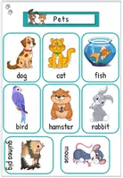 Vorschau - Arbeitsblätter - Englisch Haustiere Paket – Flashcards, Arbeitsblätter, Spelling & Rätsel | Klasse 2-3 | mit Lösungen - Seite 1