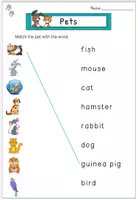 Vorschau - Arbeitsblätter - Englisch Haustiere Paket – Flashcards, Arbeitsblätter, Spelling & Rätsel | Klasse 2-3 | mit Lösungen - Seite 2