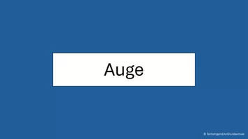 Vorschau - Präsentationen/Tafelbilder - Blitzlesen - Grundwortschatz SH - Teil 1 - Seite 3