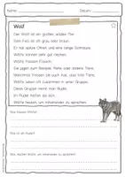 Vorschau - Arbeitsblätter - Sachtext Wolf - Seite 1