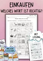 Vorschau - Arbeitsblätter - DaZ / DaF - Einkaufen & Geschäfte - Wortschatz - Welches Wort ist richtig? (Arbeitsblatt) - Deckblatt