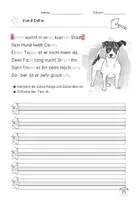 Vorschau - Stationenlernen - Abschreibtexte: Bauernhoftiere (2-fach differenziert) - Seite 3