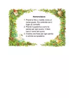 anteprima - Flashcard - Errori ortografici in italiano (flashcard) - Pagina di copertina