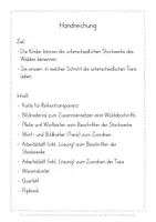 Vorschau - Stundenentwürfe - Wald Stockwerke des Waldes Flipbook Unterrichtseinheit - Seite 2