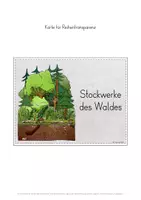 Vorschau - Stundenentwürfe - Wald Stockwerke des Waldes Flipbook Unterrichtseinheit - Seite 3