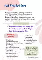 Vorschau - Anderer Materialtyp - KRISENMANAGEMENT in der Schule - Seite 3