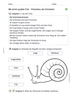 Vorschau - Arbeitsblätter - Materialsammlung: Die Schnecke - Seite 3