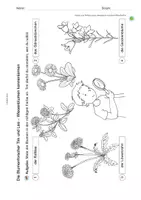 Vorschau - Mal- und Bastelvorlagen - Arbeitsblatt: Wiesenblumen kreativ entdecken - Seite 2