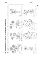 Vorschau - Mal- und Bastelvorlagen - Arbeitsblatt: Wiesenblumen kreativ entdecken - Seite 3