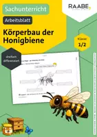 Vorschau - Arbeitsblätter - Arbeitsblatt: Körperbau der Honigbiene - Deckblatt
