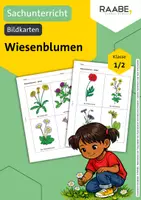 Vorschau - Bildkarten - Bildkarten: Kunterbunte Wiesenblumen - Deckblatt