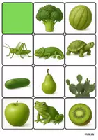 Aperçu - Jeux - 23 cartes de la couleur vert - Page 1