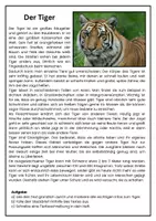 Vorschau - Arbeitsblätter - Tierbeschreibung Tiger - Deckblatt