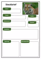 Vorschau - Arbeitsblätter - Tierbeschreibung Tiger - Seite 1
