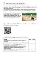 Vorschau - Arbeitsblätter - Die Erdkröte: Krötenwanderung, Gefährdungen, Artenschutz - Seite 3