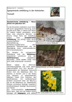 Vorschau - Arbeitsblätter - Sympatrische Artbildung in der heimischen Tier- und Pflanzenwelt - Seite 1