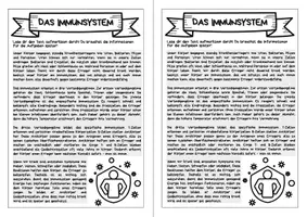 Vorschau - Arbeitsblätter - Forscherheft - Das Immunsystem - Seite 3