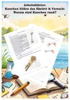 Vorschau - Arbeitsblätter - Aufbau eines Knochens - Arbeitsblatt und Versuch - Deckblatt