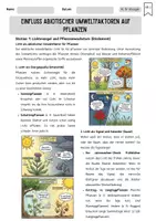 Vorschau - Unterrichtsreihen - Ökologie: Abiotische Faktoren – Licht & Wasser bei Pflanzen - Seite 1