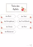 Vorschau - Arbeitsblätter - SU - Teile des Apfels Materialpaket - Seite 3