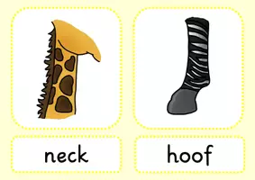 Vorschau - Bildkarten - body parts_animals_Bild- und Wortkarten - Seite 3