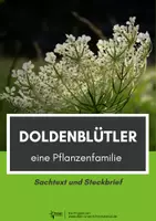 Vorschau - Arbeitsblätter - Doldenblütler - Sachtext und Steckbrief - Deckblatt