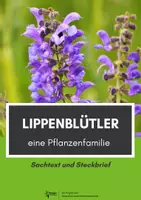 Vorschau - Arbeitsblätter - Materialpaket Pflanzenfamilien - Sachtexte und Steckbriefe - Seite 1