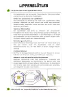 Vorschau - Arbeitsblätter - Materialpaket Pflanzenfamilien - Sachtexte und Steckbriefe - Seite 2