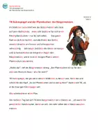 Vorschau - Unterrichtsreihen - Nacherzählung: Till Eulenspiegel & der Pfannkuchen - Seite 2