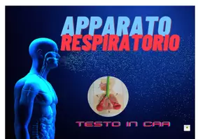 anteprima - Esercizi - CONOSCIAMO IL CORPO UMANO - Pagina di copertina