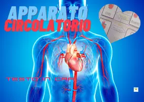 anteprima - Materiale di supporto/inclusione - APPARATO CIRCOLATORIO CAA _ (supporto per autismo, sindrome di down e NAI) - Pagina di copertina