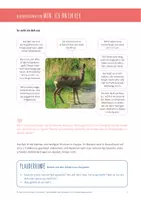 Vorschau - Merkblätter - DAS REH: Hintergrundwissen und Bildmaterial - Seite 3