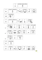 anteprima - Esercizi - RACCOLTA SISTEMA SCHELETTRICO materiale semplificato e in CAA con flash cards, esercizi utile per bambini con autismo, sindrome di down o NAI - Pagina 1