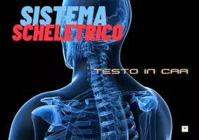 anteprima - Materiale di supporto/inclusione - SISTEMA SCHELETRICO CAA (supporto per autismo, sindrome di down e NAI) - Pagina di copertina