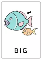 anteprima - Flashcard - Picture Cards AGGETTIVI/ADJECTIVES - Pagina 2