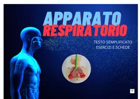 anteprima - Flashcard - APPARATO RESPIRATORIO: TESTO SEMPLIFICATO E FLASH CARD UTILE PER BAMBINI CON SOSTEGNO - Pagina di copertina