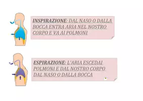 anteprima - Esercizi - INSPIRAZIONE E ESPIRAZIONE facili anche per autistismo e sindrome down - Pagina 1