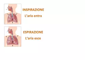 anteprima - Esercizi - INSPIRAZIONE E ESPIRAZIONE facili anche per autistismo e sindrome down - Pagina 2