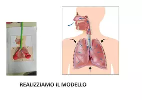 anteprima - Esercizi - INSPIRAZIONE E ESPIRAZIONE facili anche per autistismo e sindrome down - Pagina di copertina