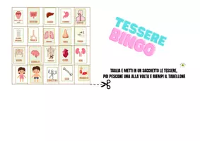 anteprima - Giochi - TOMBOLA/ BINGO DEL CORPO UMANO CON TESSERE DEGLI ORGANI - Pagina 2