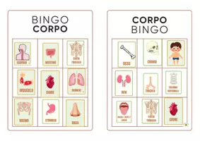 anteprima - Giochi - TOMBOLA/ BINGO DEL CORPO UMANO CON TESSERE DEGLI ORGANI - Pagina 3