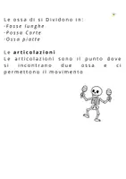anteprima - Flashcard - SISTEMA SCHELETTRICO SEMPLIFICATO E FLASH CARD UTILE PER BAMBINI CON SOSTEGNO - Pagina 3